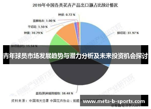 青年球员市场发展趋势与潜力分析及未来投资机会探讨 青年球员市场发展趋势与潜力分析及未来投资机会探讨